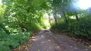 Beech Caves