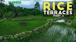 Rice Terraces Part 2 : Construction of Rice Terraces | Agribusiness Philippines