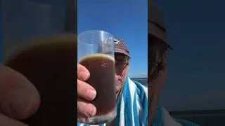 A Michigan beer by the ocean in Florida