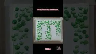 Easy and simple painting technique#acrylicpainting #shortsvideo#hand used.