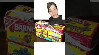 В 90-х годах крекеры Animal Crackers были превосходными