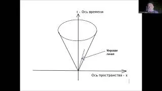 Конус жизни – что это?