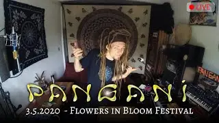 Pangani Live Dub @ Flowers in Bloom Festival