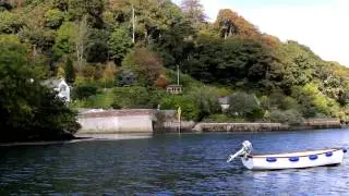 Trelissick in a Day - films