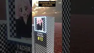 TOP 15 Strongest Lieutenants in BLEACH Ranked by Power