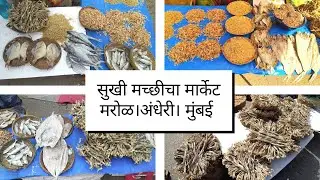 सुखी मछली का बाजार | मरोळ - अंधेरी। मुंबई | marol dry fish market - Andheri | mumbai | marathi vlog