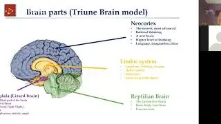 & Rise Presents: Neurobiology of Trauma - Prevention Education