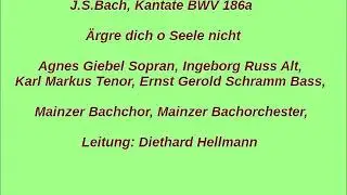 Bach Kantate BWV 186a, &Auml;rgre dich o Seele nicht, Diethard Hellmann