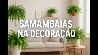 Samambaias na Decora&ccedil;&atilde;o - Como cuidar e usar essa planta cl&aacute;ssica em ambientes modernos.