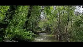 Beautiful scenery - Nature by Hi-Tech Valley (Hellyer & Montgomery Hill Parks).