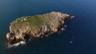 Blue Moon Escursioni | Polignano a Mare (Phantom 3 4k)