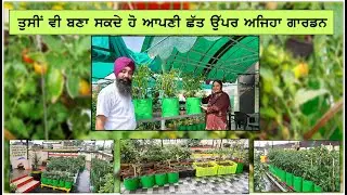 Beautiful Terrace Kitchen Garden ll ਤੁਸੀਂ ਵੀ ਬਣਾ ਸਕਦੇ ਹੋ ਆਪਣੀ ਛੱਤ ਉੱਪਰ ਅਜਿਹਾ ਗਾਰਡਨ ll