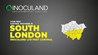 Pest Control South London &middot; Inoculand Ltd Pest Control
