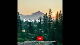Preserve (Official video)