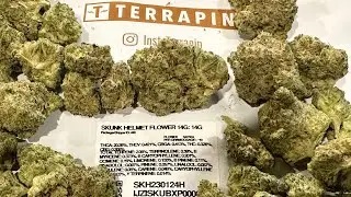 Skunk Helmet 14 Grams Strain Review~PA Medical