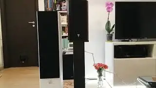 Dali Zensor 7  vs Focal 706 ( floorstander vs bookshelf/standmount)