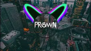 PRAWN | Official Instrumental #19