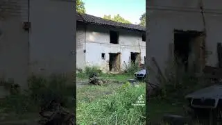 takhle se nak Vidnava motor z Felicia dejte laky a odebirete