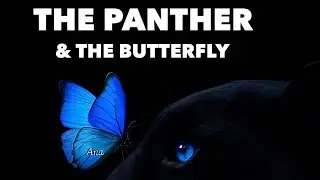 &ldquo;THE PANTHER & THE BUTTERFLY&rdquo; | XL STORYTIME | (There&rsquo;s a 1% Chance 🦋🐆) &bull;Mi Vida&bull;