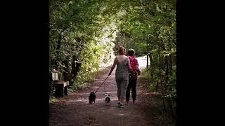 Shorne Park in September 2020