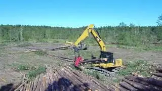 Logging in South Georgia