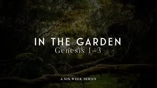 Gender in Genesis