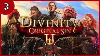 Every Cat has its Days ~ Divinity Original Sin 2 ~ First time Playthrough [3]