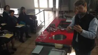 Com s'ha d'obrir una ostra del delta de l'Ebre?