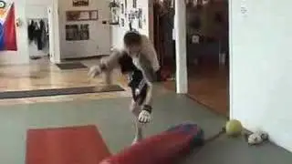 Jeff Harrison MMA Training Montage