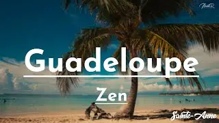 Voyage Relaxant sur les Rivages Exotiques : Plage de Sainte Anne, Guadeloupe