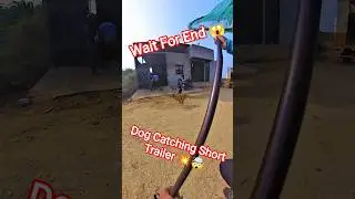 Dog Catching Video #dogwithpublicsafety #dog #video #pets #ytviral #shorts #ytshorts #catching #vlog