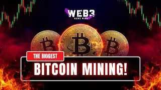 DAY 3 | Bitcoin Halving & Mining Economics | How Miner Incentives & Hash Power Secure BTC