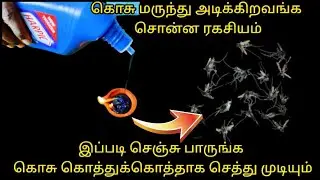|இத்தனை நாளா இது தெரியாம கொசுக்கடி வாங்கிட்டு இருந்தமே|😱