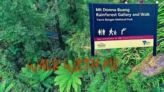Walk With Me in Rainforest Gallery and Walk