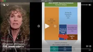 Sharon Wilson's remarks on Japanese financing of global LNG industry