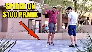 SPIDER ON 100 DOLLAR PRANK