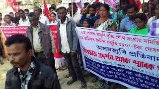 (JACTWW) demand of tea worker labour's 350
