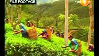 Sri Lanka tea set to go down in history