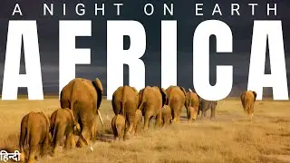 A Night on Earth: Africa E2 | Animal Planet in Hindi | Wildlife Documentary in Hindi
