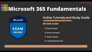 Как подготовиться к экзамену MS-900: Основы Microsoft 365?