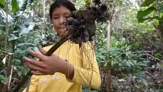 DAILY LIFE. FATHER AND CHILDREN GO TO THE FOREST TO PICK MEDICINE