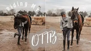 First Ride on Theo in 2021 !! | Barn Vlog