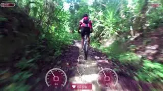 Circuito Gantua Power