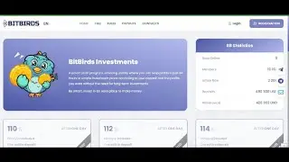 Deposit $500 and win 114% after 24 hours (BITBIRDS)