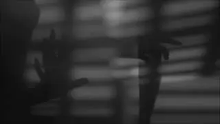 SLGLX - Shadows