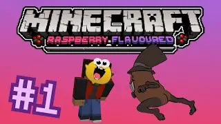 Singleplayer | Raspberry Flavored #1