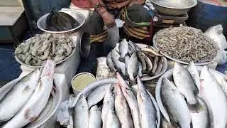 Exploring an Authentic Asian Village Fish Market! 🐟🌿  | Fresh Seafood & Local Culture
