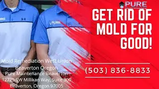 Mold Remediation West Union Beaverton Oregon - Pure Maintenance Beaverton - 503-836-8833