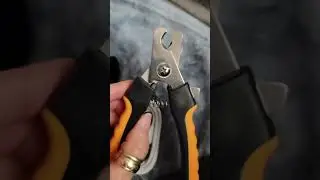 LOPSIC Dog Nail Grinder with LED Light Review, Great for bigger nails