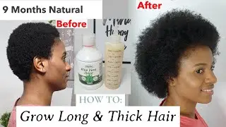 Best DIY Leave-in Conditioner for Natural Hair/Aloe Vera+Fenugreek Spritz for Fast Hair Growth